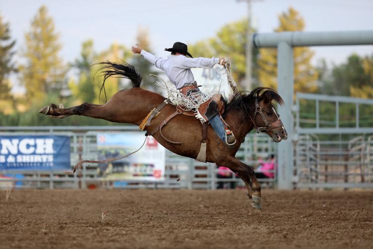 CENTRAL MONTANA FAIR Rodeo pictures News