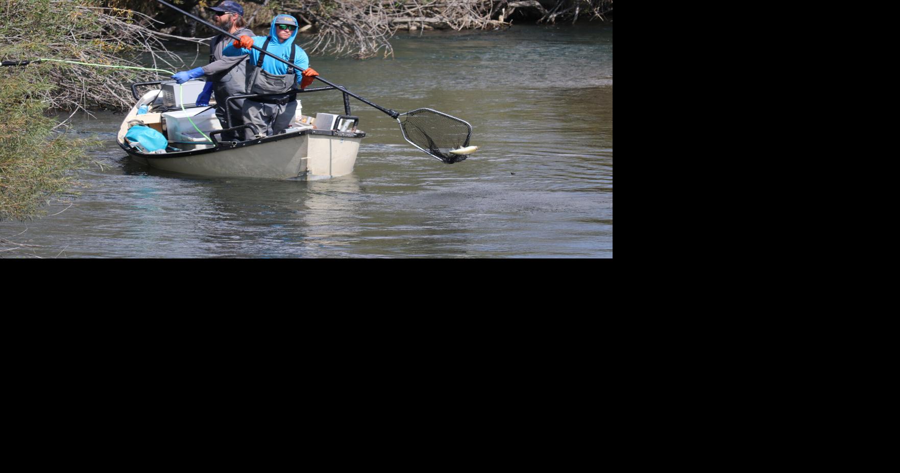 A shocking way to assess fish populations | News | lewistownnews.com