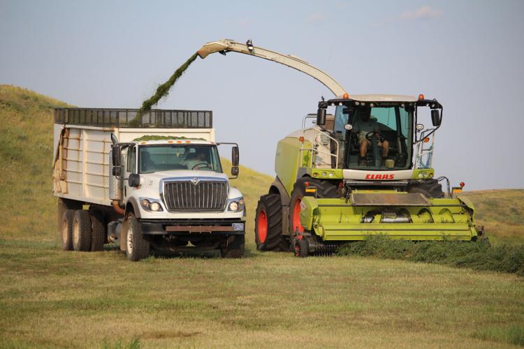 GOOD DAYS FOR HAY Delayed haying season underway in Central Montana