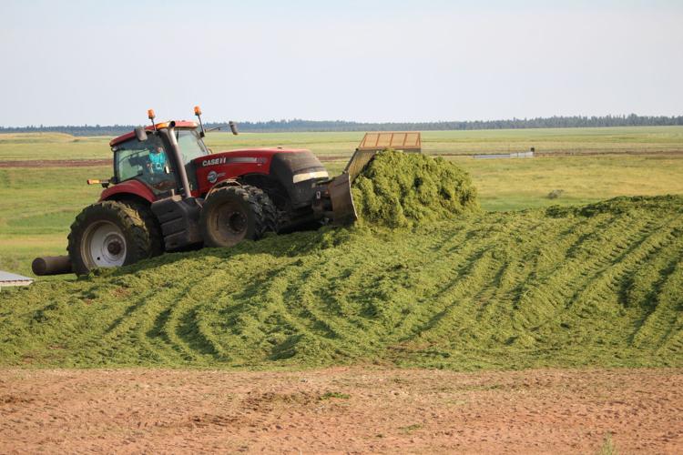 GOOD DAYS FOR HAY Delayed haying season underway in Central Montana