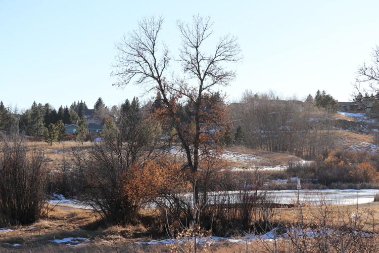 Weather extremes January 2024 a month of record highs and lows News