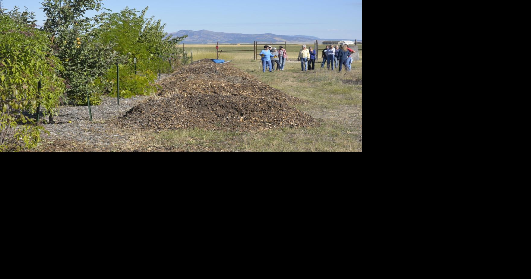 Fruits of labor Orchard tour offers insight into growing fruit trees