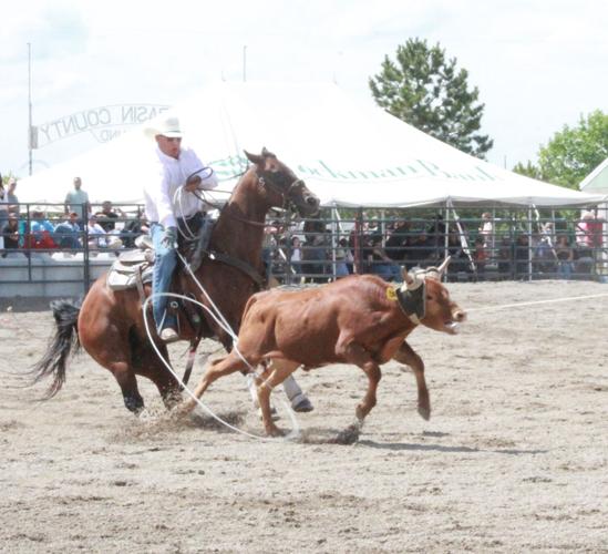 Colton Allen Roping Scenes from the 61st CM Russell Stampede July 19 and 20 ...