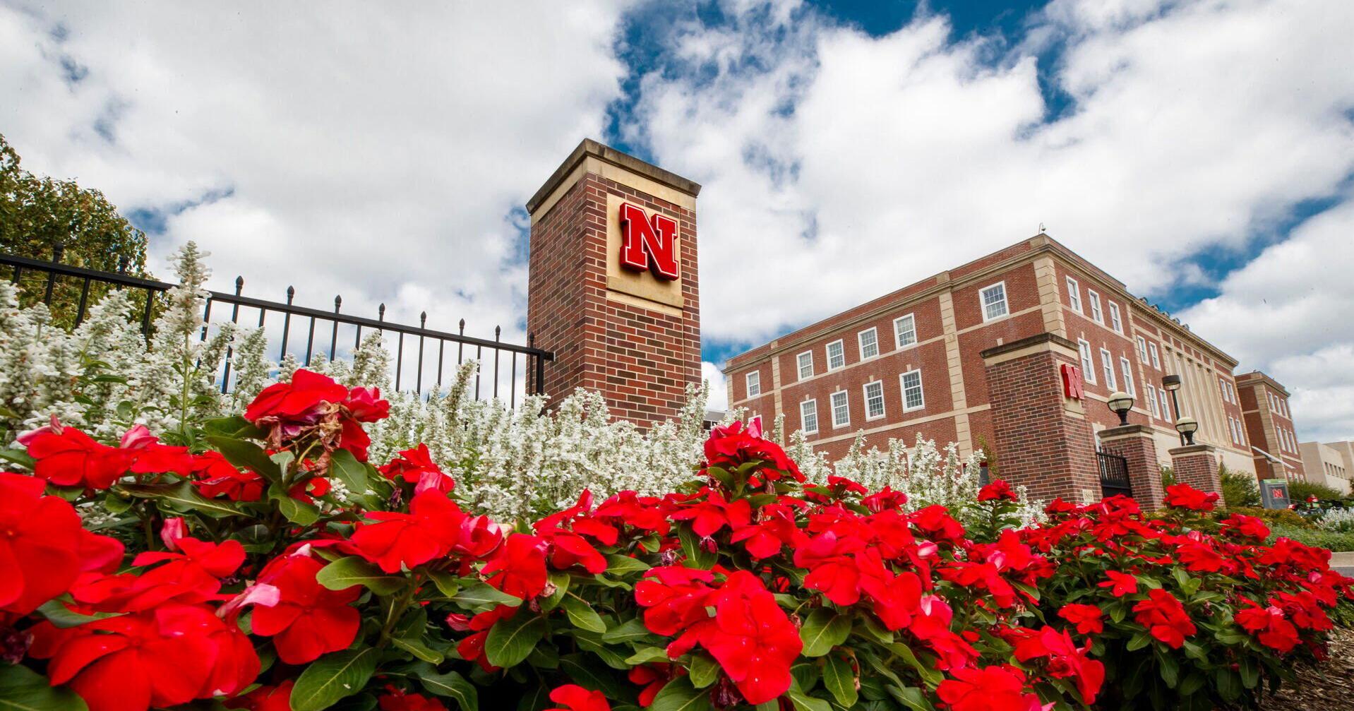 Regents want next NU president to stay for 10 years or more - Vimarsana News