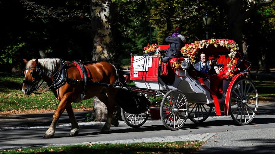 NEW YORK-HORSES/