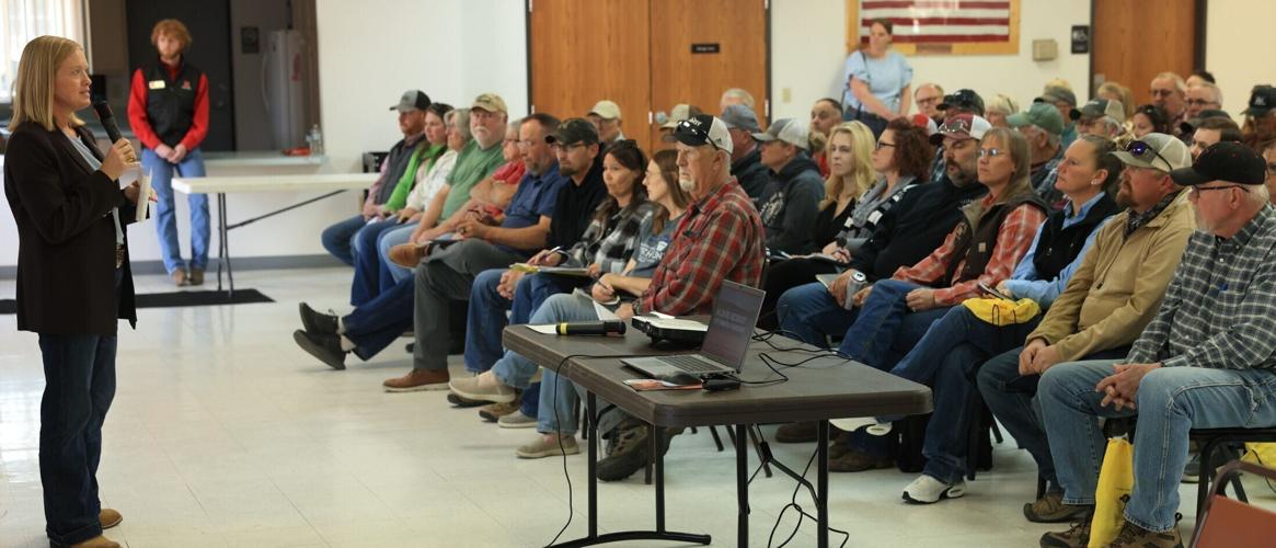 Federal, state agencies outline programs for producers amid wildfire recovery