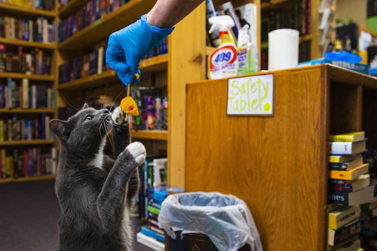 20200328_new_lincolnreg_kf7