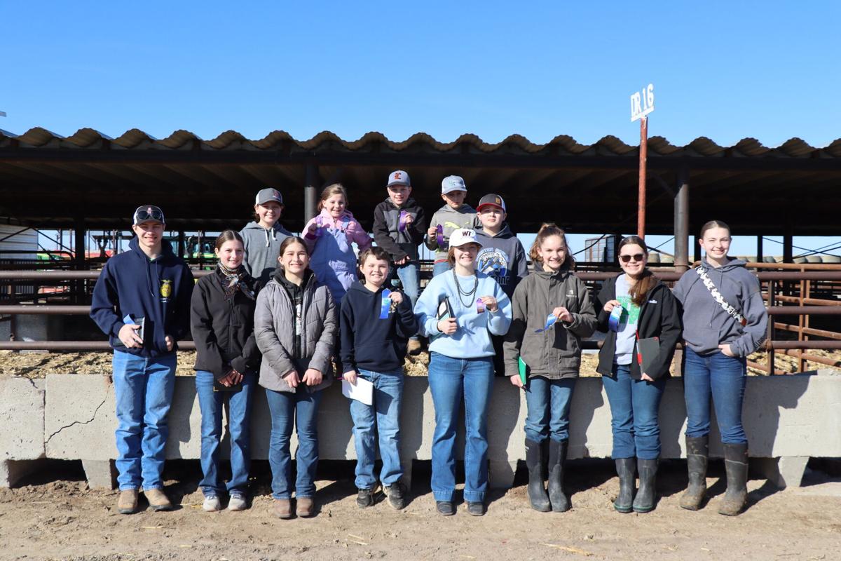 Dawson County Bull Judging Contest