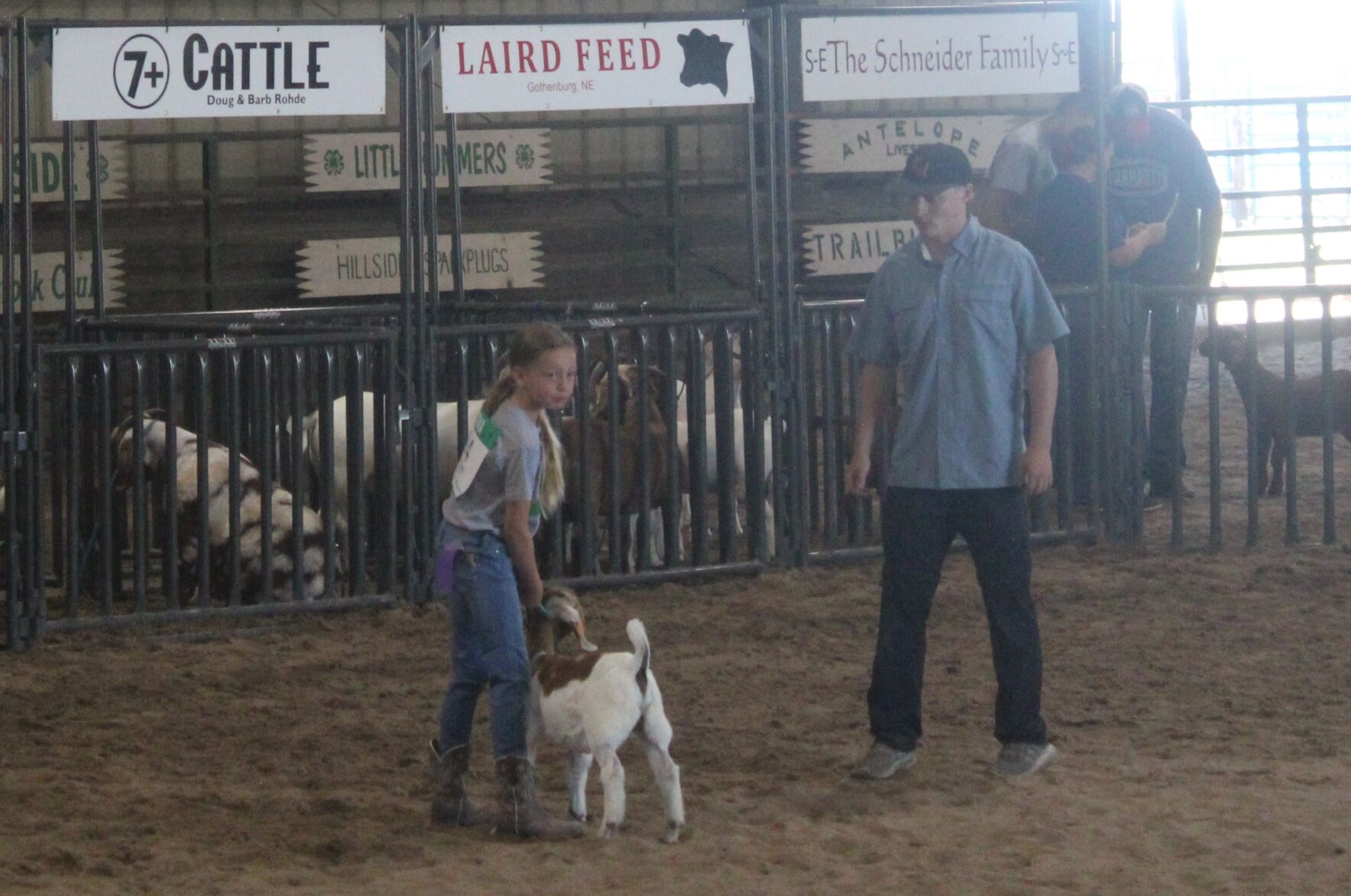 Lucille Cool breeding meat goat does division.JPG