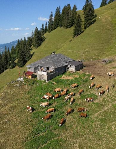 USA-TRUMP/TARIFFS-SWISS