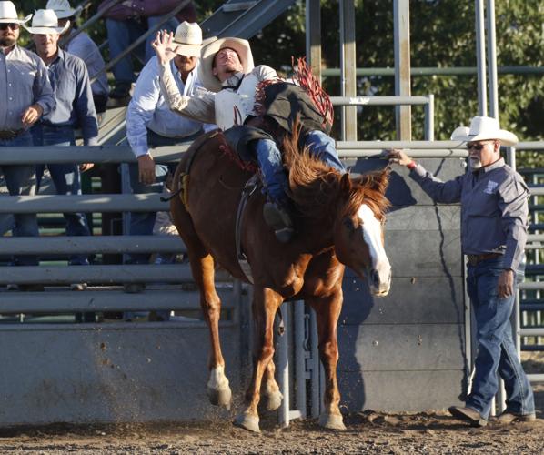 Cinch Kiger barebacks