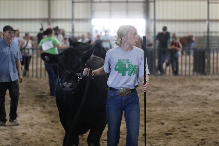 Taylor Kramer showmanship