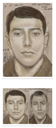 Suspect sketch
