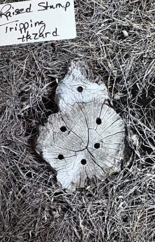 Cemetery photo 8.jpg