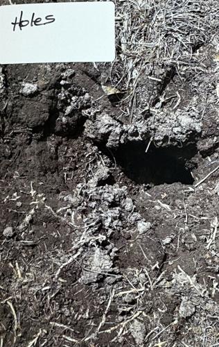 Cemetery photo 3.jpg