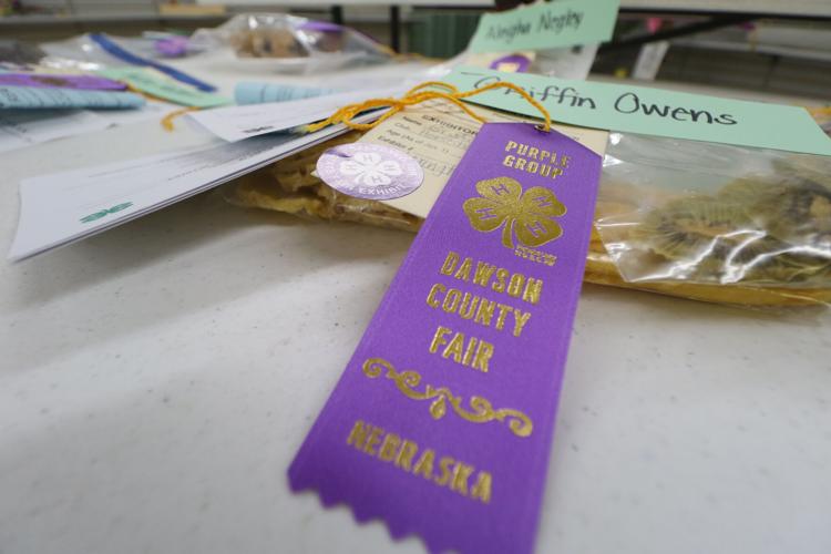 071923-lex-news-dawson-fair30.JPG