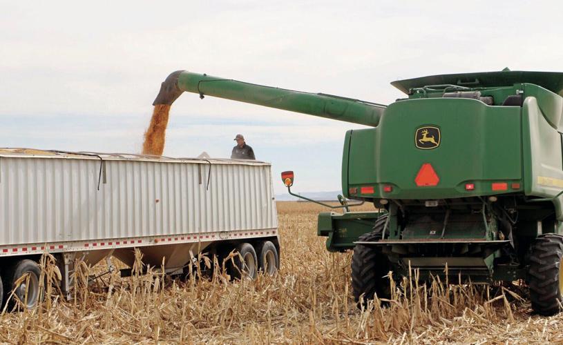 Farming continues into fourth generation for Bayard's Ryan Liakos