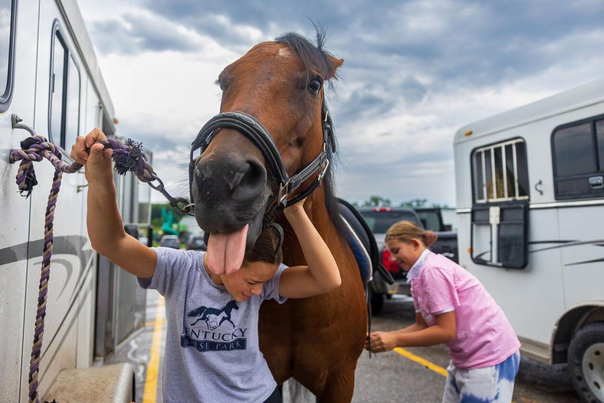 Lancaster County Fair preview, 7.28