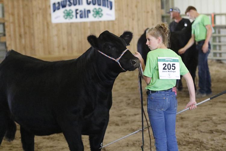 “County Pride, County Wide,” at the 2021 Dawson County Fair