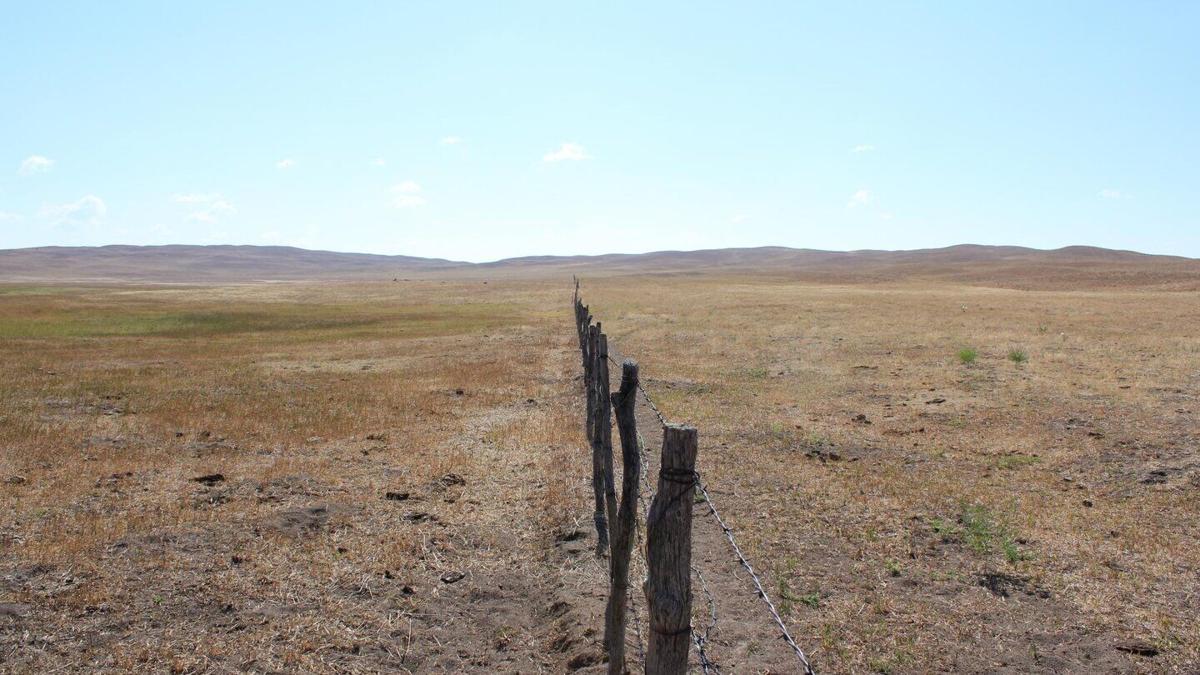 Nebraska Extension to host Lexington webinar on drought management for ...