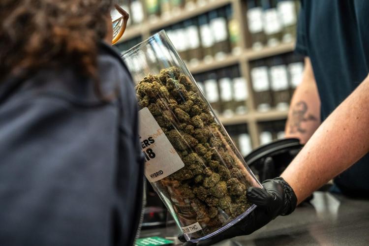 A customer smells marijuana flowers while shopping at BOWDEGA Cannabis dispensary in Utica, Michigan, on Wednesday, August 13, 2025.