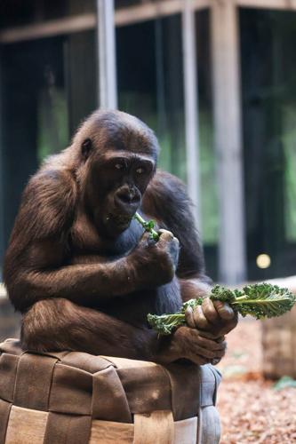 021324-zoo-12