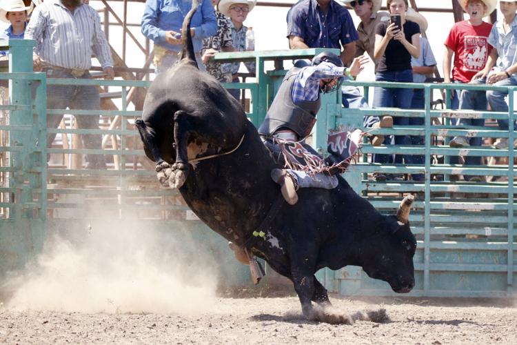 Chad Connelly bull riding