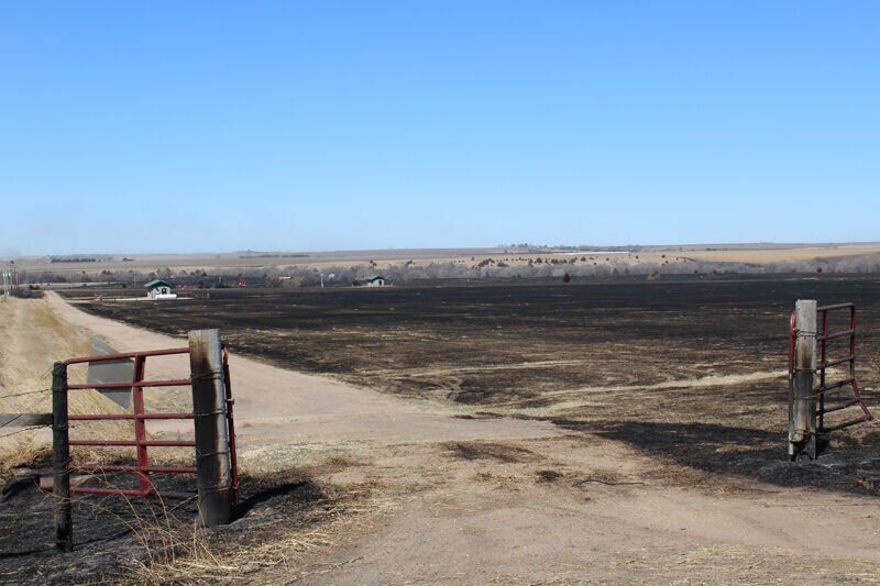 Burnt landscape
