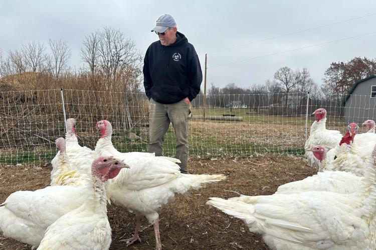 Thanksgiving Prices