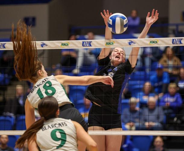 Sydney Davis blocks.jpg