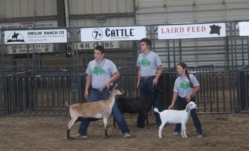 Goat show Nichols kids.JPG