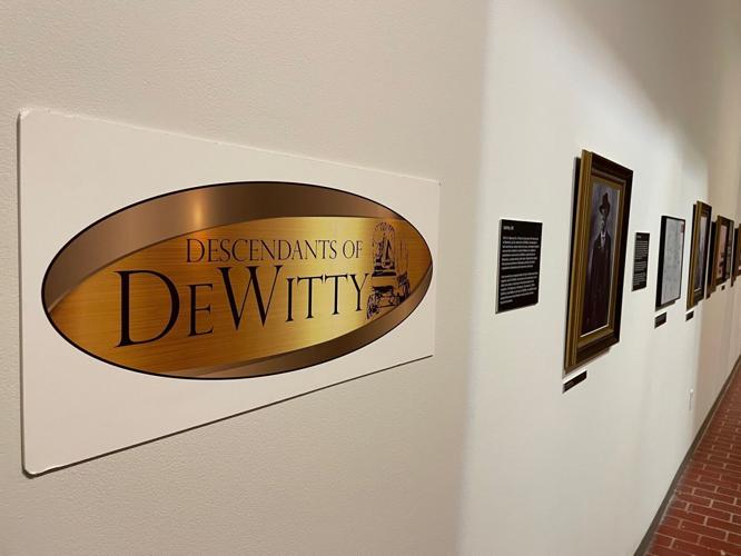 dewitty-p3