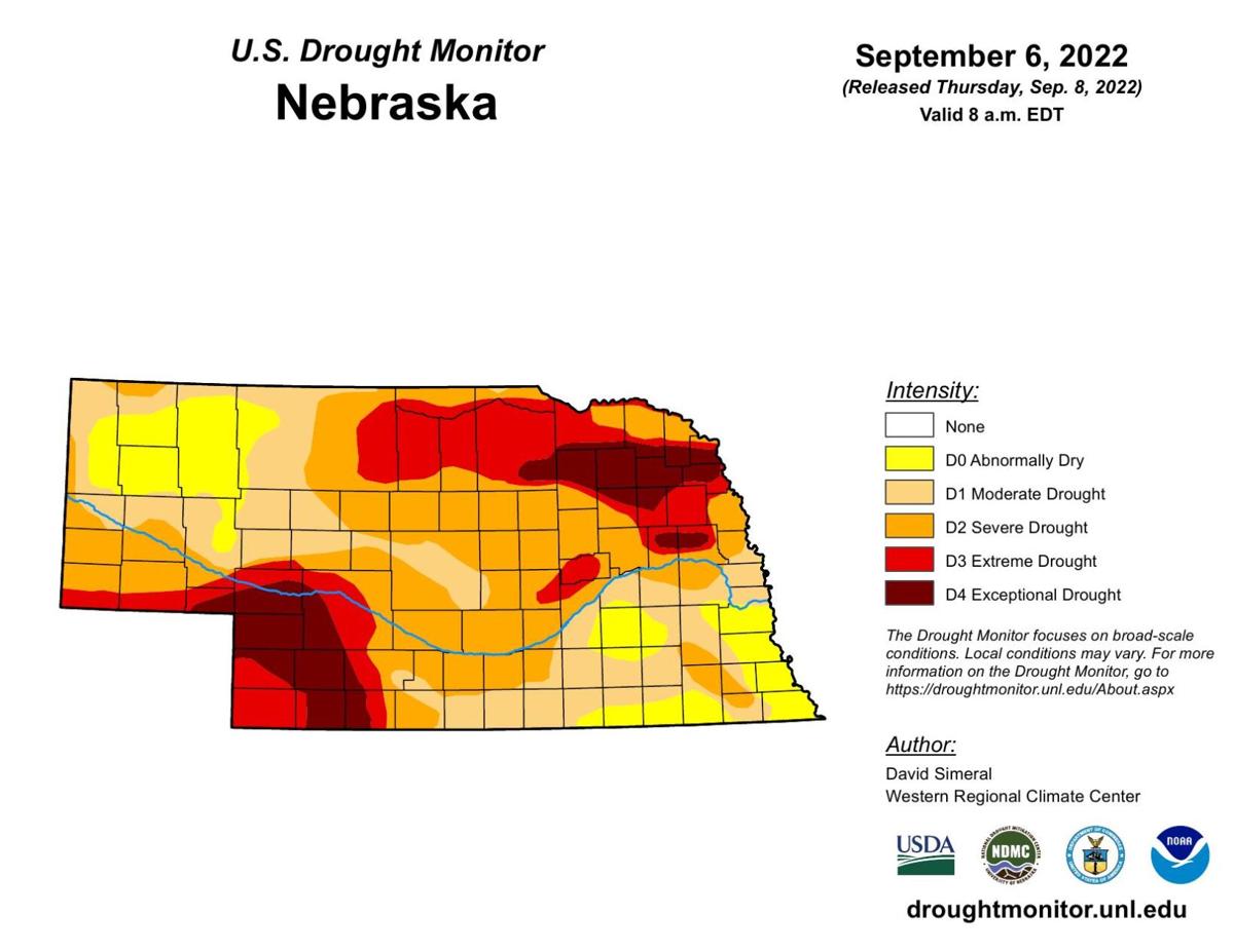 20220906_ne_text.pdf