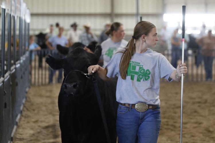 Hailey Jensen showmanship
