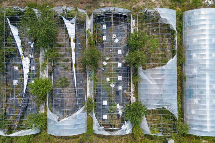 An abandoned marijuana grow sits in rural Holdenville in September. The property was sold at an auction, with its new owner, Pat Foor, left to clean up.