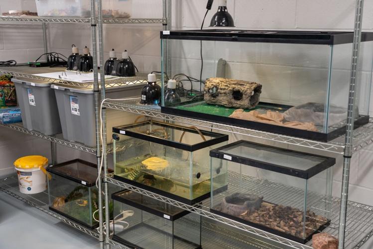 120121-owh-new-wildliferehab-sub-p3