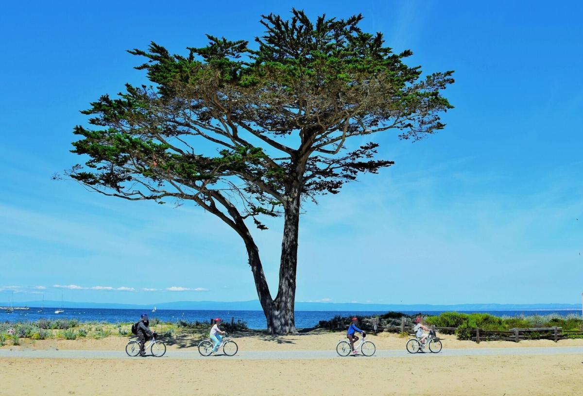 Bike riders make their way along the Monterey Bay Coastal Recreation Trail in California.