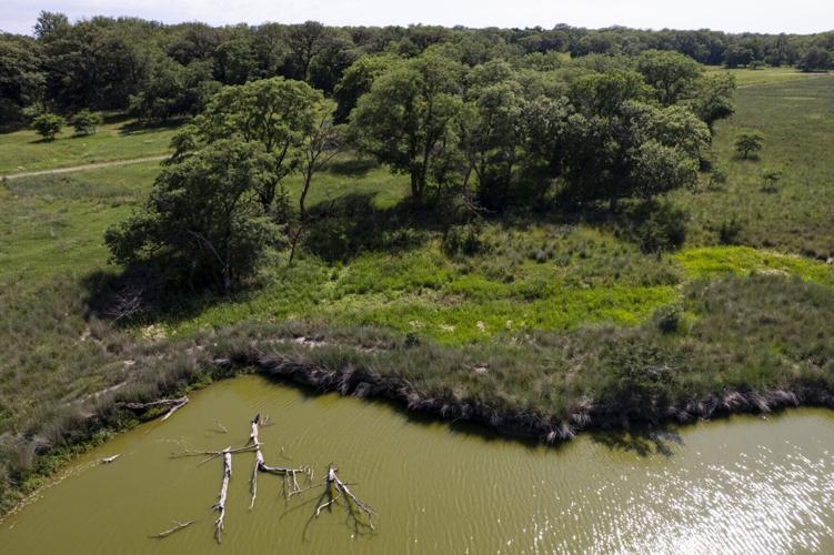 Prairie Corridor New Land