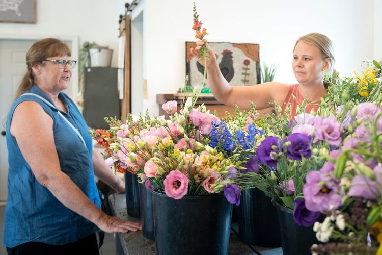 West Mill Flowers, 7.1