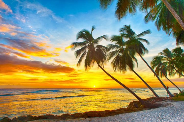 ogintz-barbados-20240404