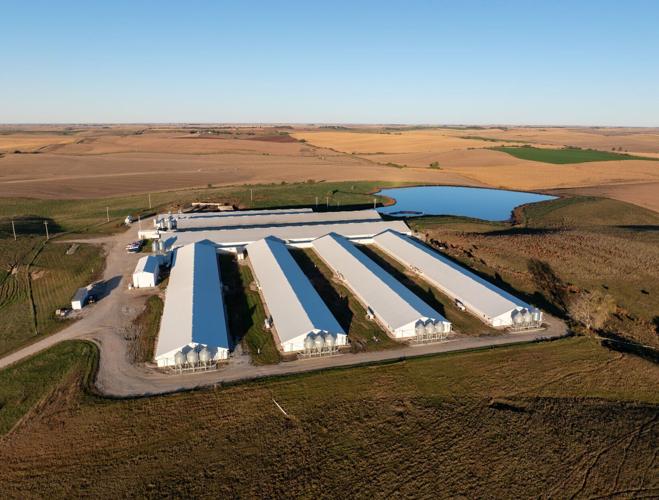 COPYRIGHT RESTRICTED Pillen Farms Death