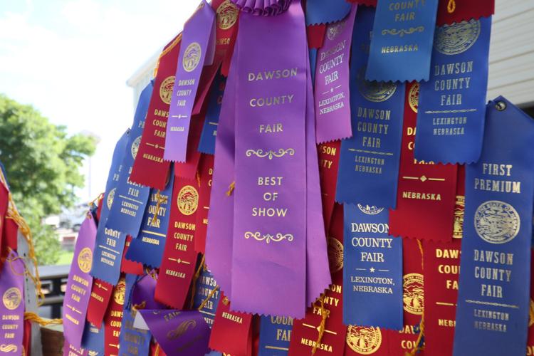 071923-lex-news-dawson-fair33.JPG