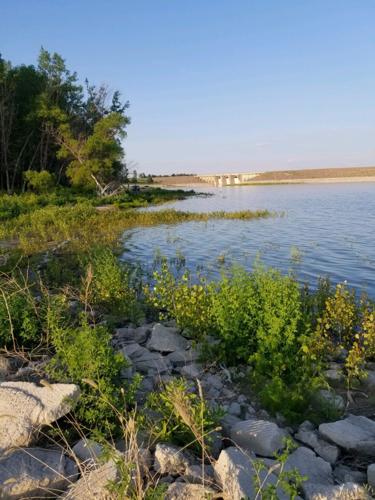 Swanson Reservoir