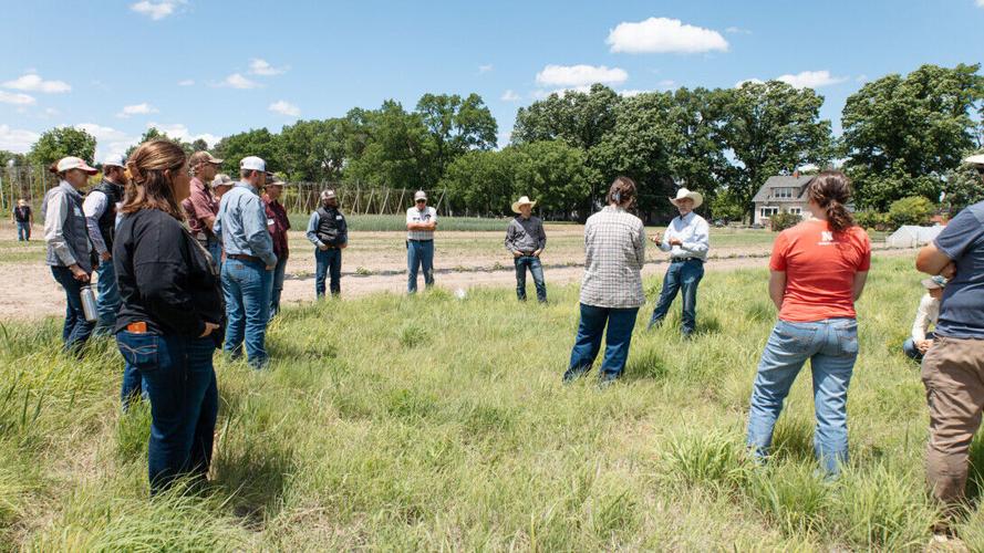 Nebraska Ranch Practicum spreads research, resources to region’s producers