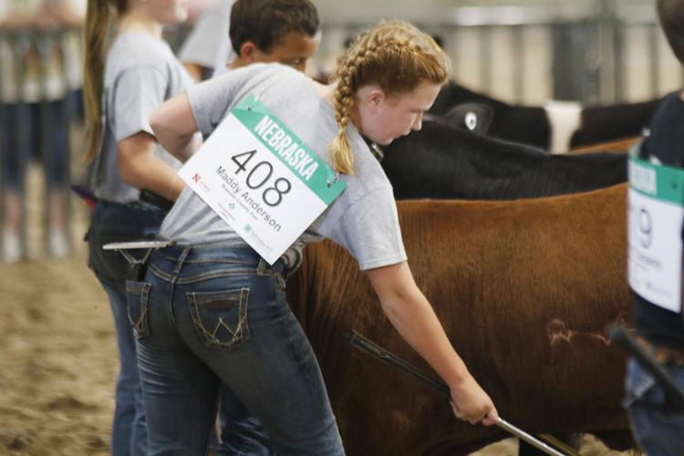 Maddy Anderson junior feeder calf