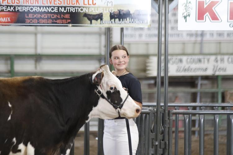 Mollie Spradlin dairy showmanship