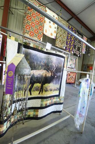 071923-lex-news-dawson-fair34.JPG