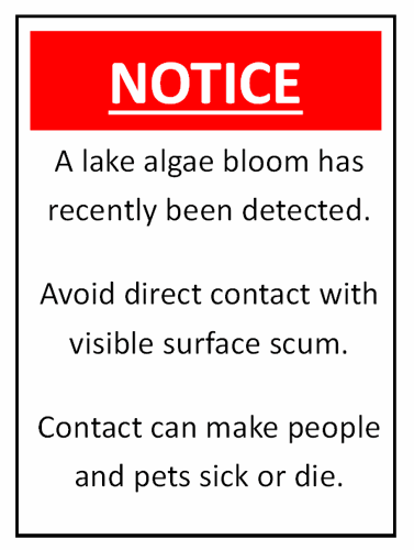 Blue-Green Algae Advisory Issued for Eagle Scout Lake