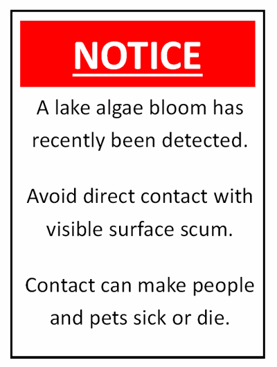Blue-Green Algae Advisory Issued for Eagle Scout Lake