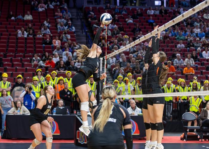 S-E-M brings home third place at state tournament